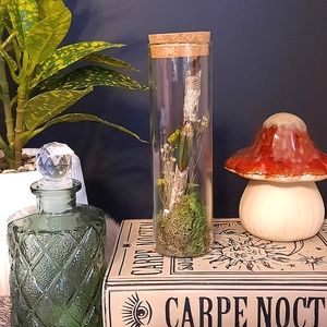 Real Jewel Beetle in Glass Vile Oddity Art